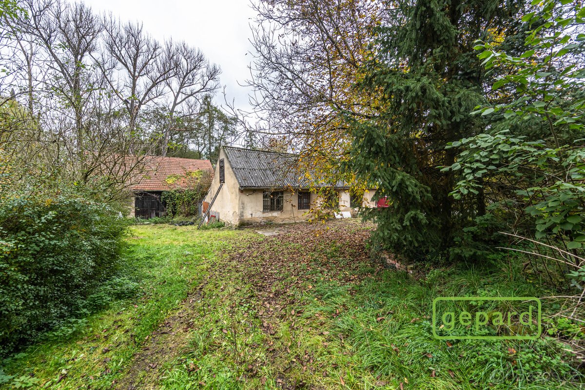 Soubor pozemků o výměře 12 706 m2, včetně potoka a RD k reko