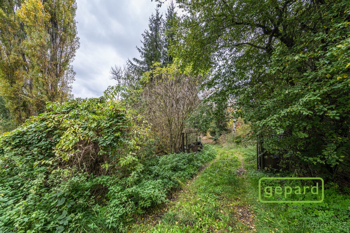 Soubor pozemků o výměře 12 706 m2, včetně potoka a RD k reko