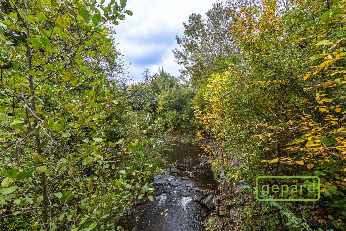 Soubor pozemků o výměře 12 706 m2, včetně potoka a RD k reko