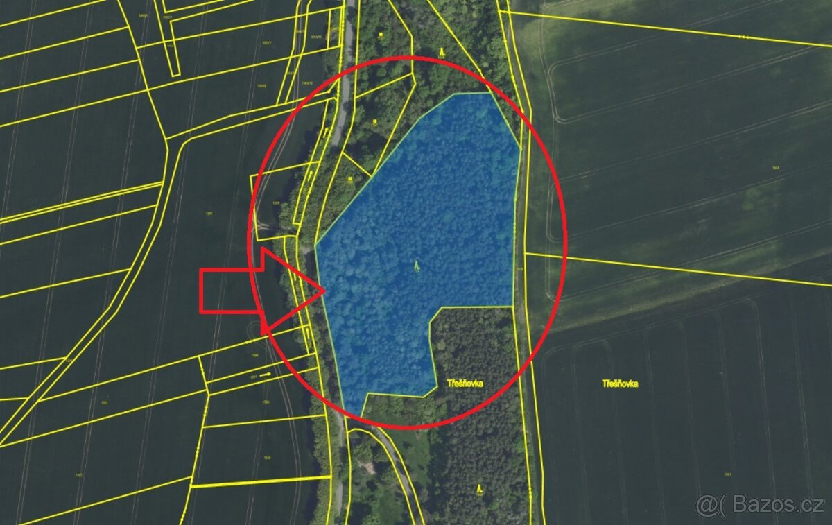 Prodej lesního pozemku k.ú. Vinaře