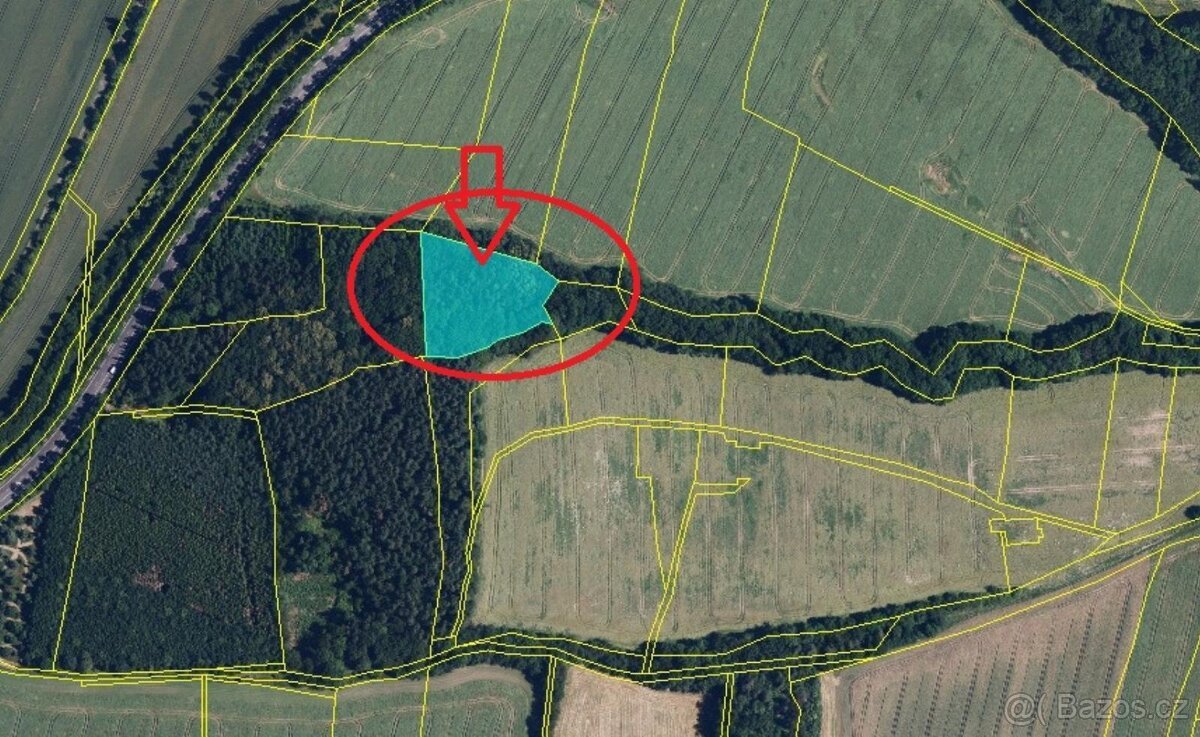 Prodej lesního pozemku v k.ú. Podolí u Mohelnice