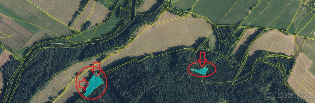 Prodej lesních pozemků k.ú. Maršíkov