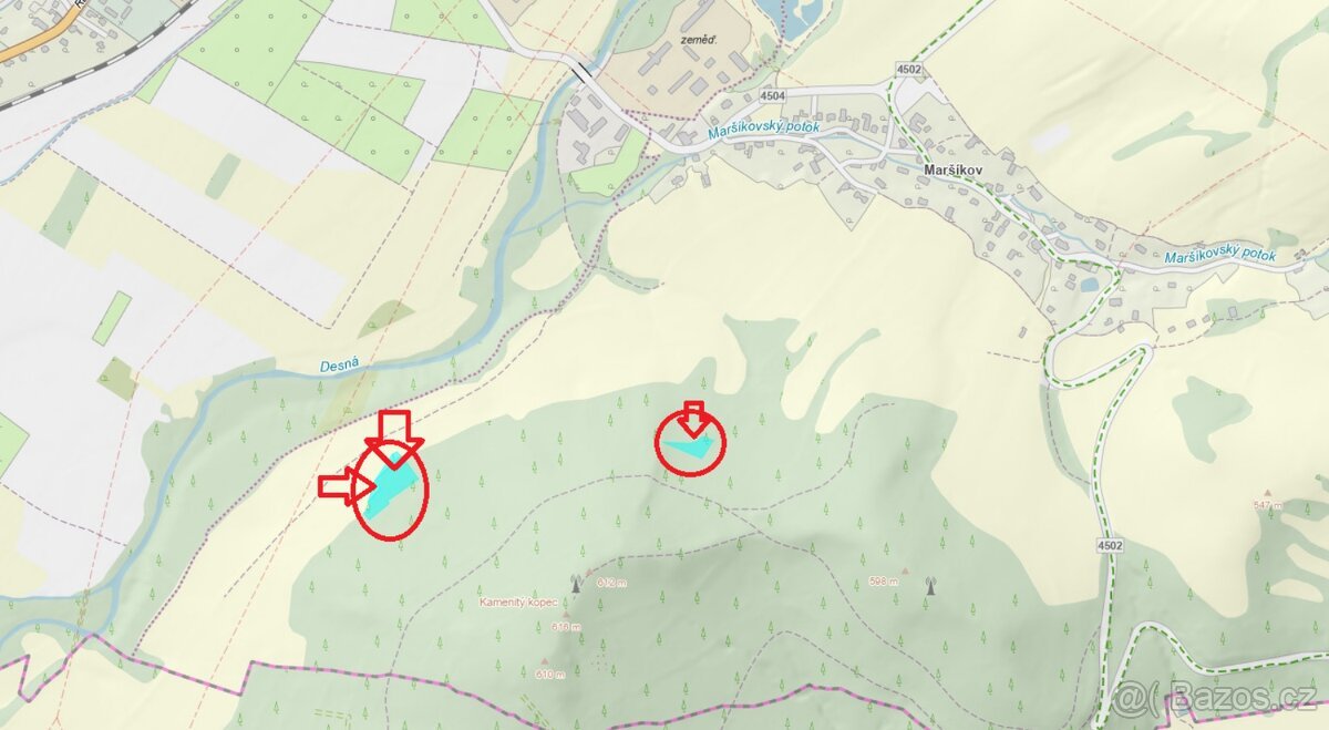 Prodej lesních pozemků k.ú. Maršíkov