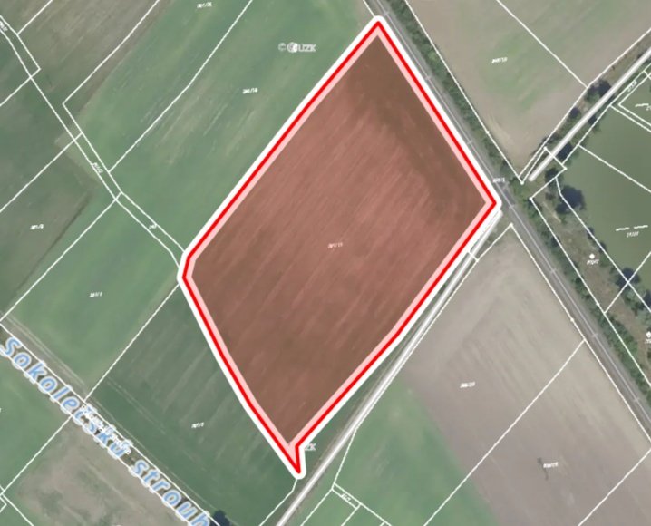 Zemědělská půda, prodej, Sokoleč - Nymburk