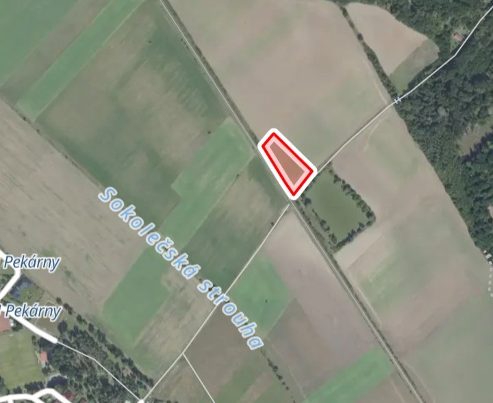 Zemědělská půda, prodej, Sokoleč - Nymburk