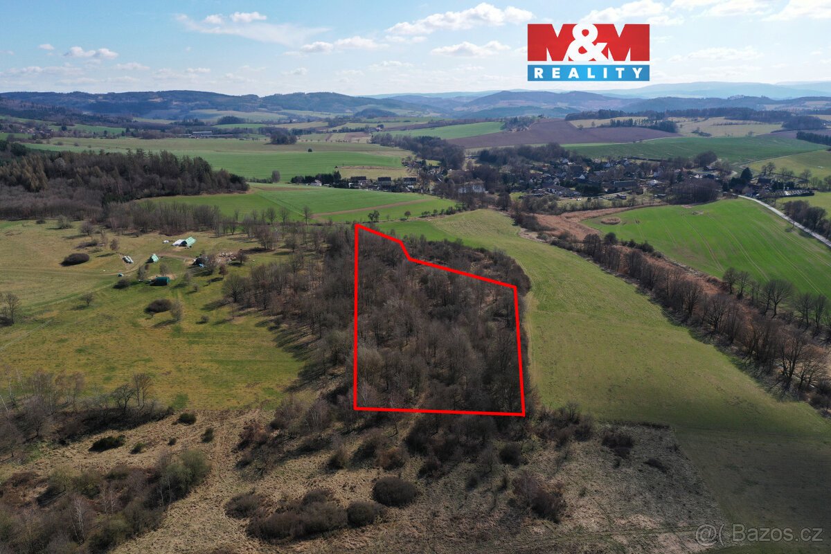 Prodej lesa, 20042 m², Obytce