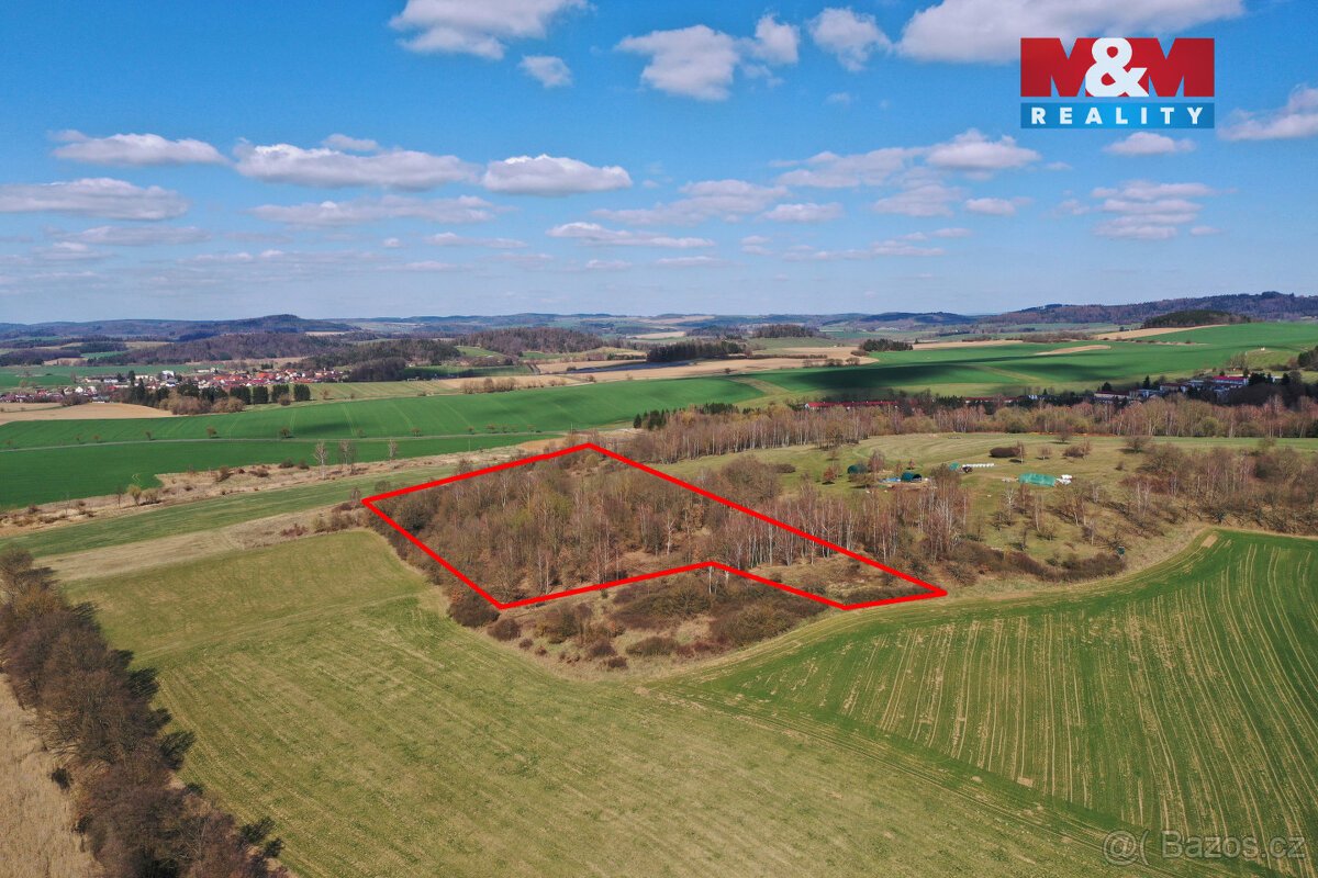 Prodej lesa, 20042 m², Obytce