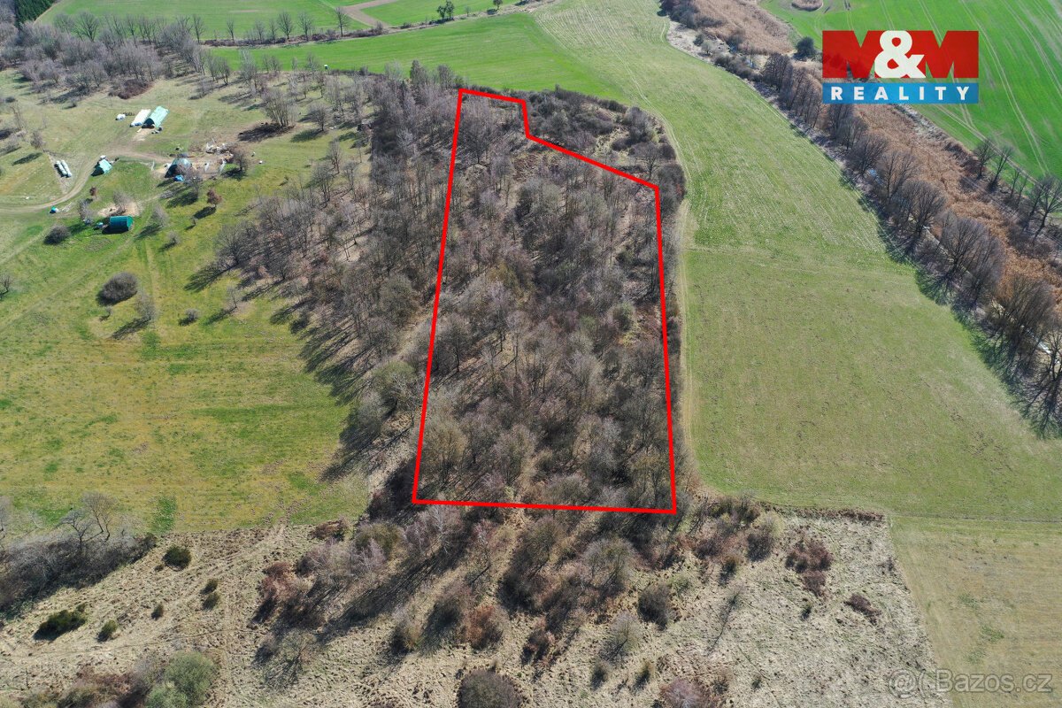 Prodej lesa, 20042 m², Obytce