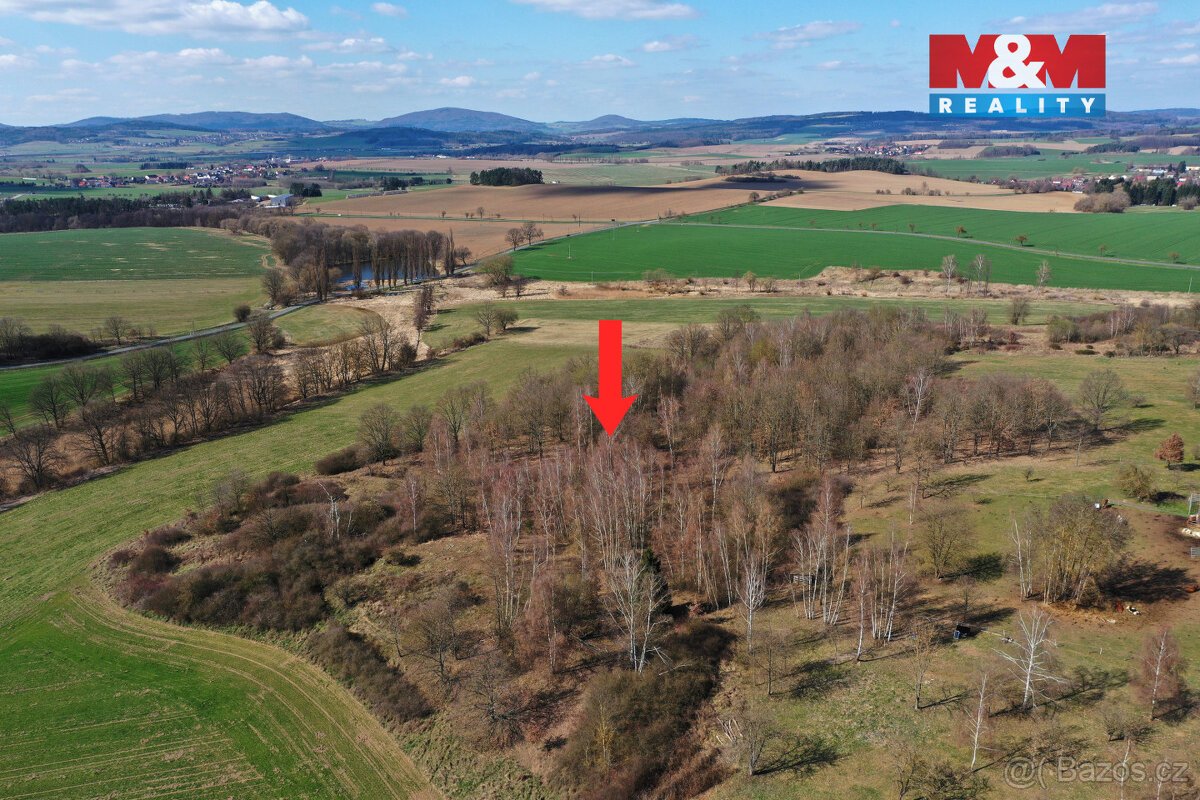 Prodej lesa, 20042 m², Obytce