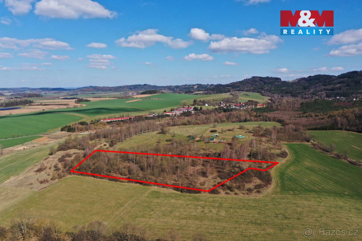 Prodej lesa, 20042 m², Obytce