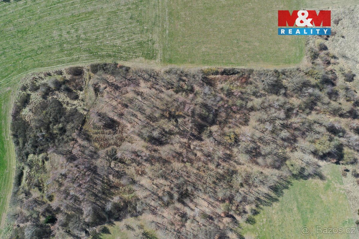 Prodej lesa, 20042 m², Obytce