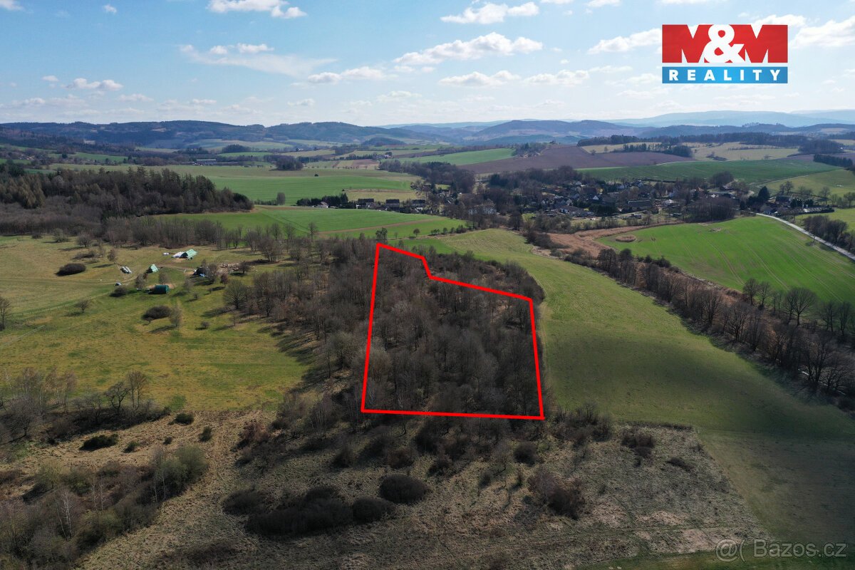 Prodej lesa, 20042 m², Obytce