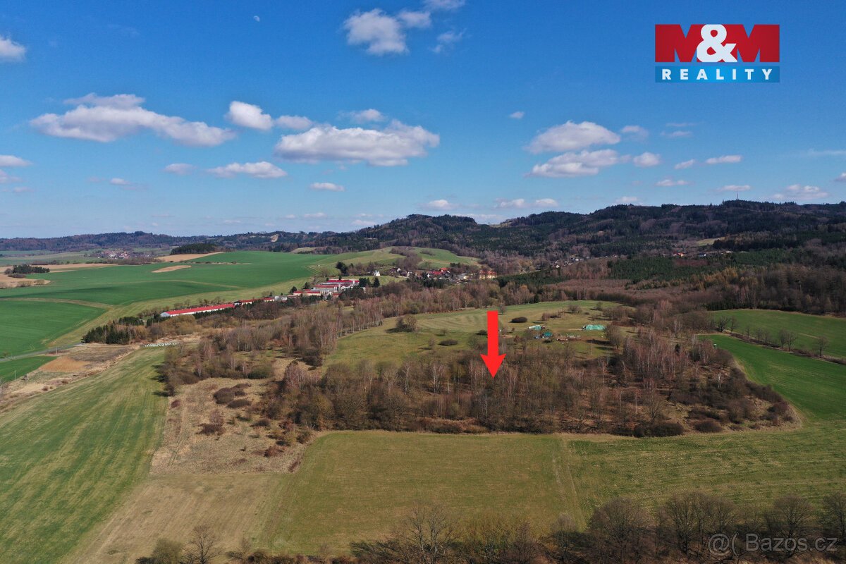 Prodej lesa, 20042 m², Obytce