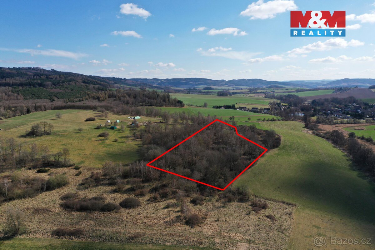 Prodej lesa, 20042 m², Obytce