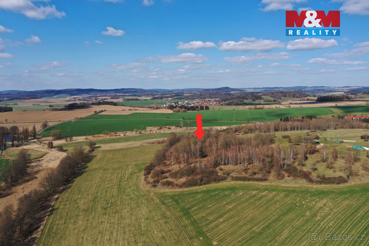 Prodej lesa, 20042 m², Obytce