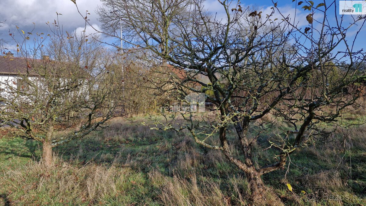 Prodej pozemku o 1669m2 v Dalovicích, Karlových Varech.