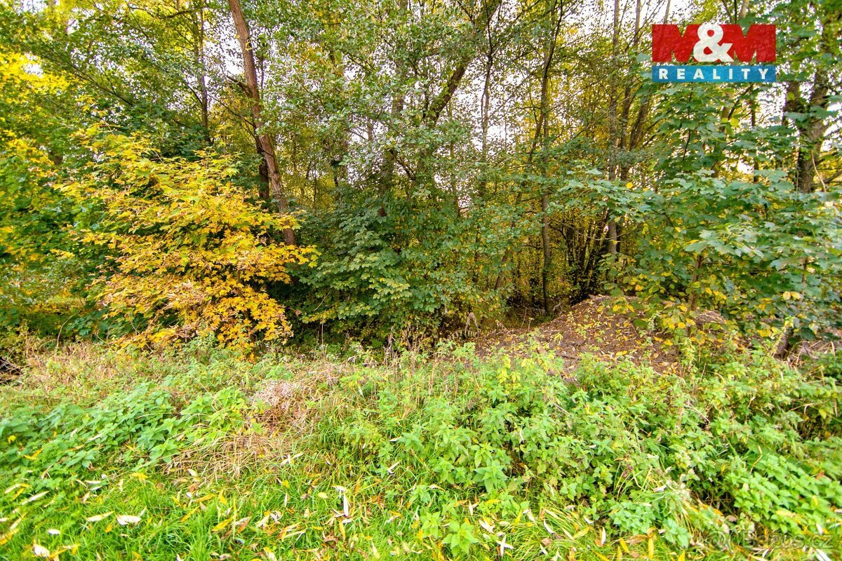 Prodej pozemku 1446 m², Stará Voda