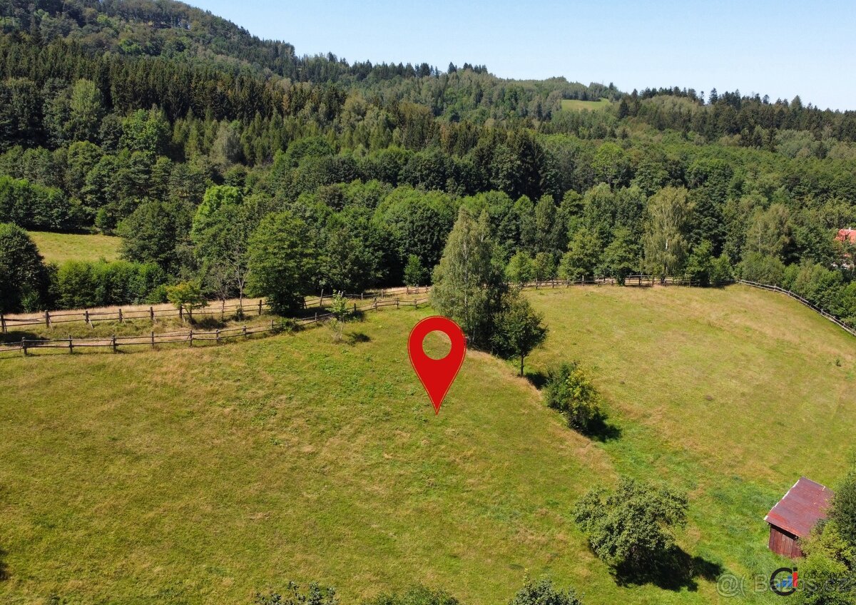 Prodej pozemku 4 823 m² - Olešnice v Orlických horách