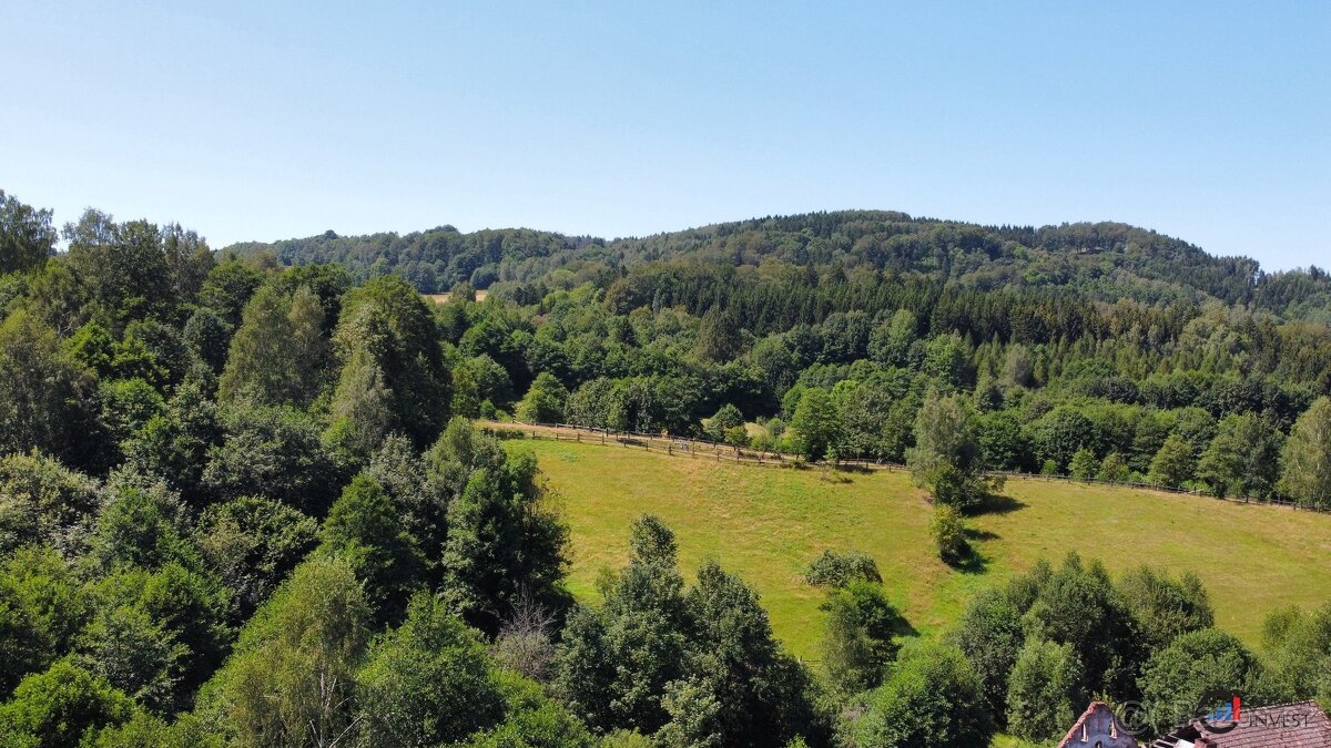 Prodej pozemku 4 823 m² - Olešnice v Orlických horách