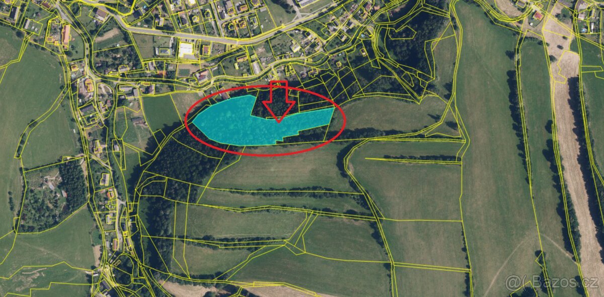 Prodej lesního pozemku k.ú. Hrabišín