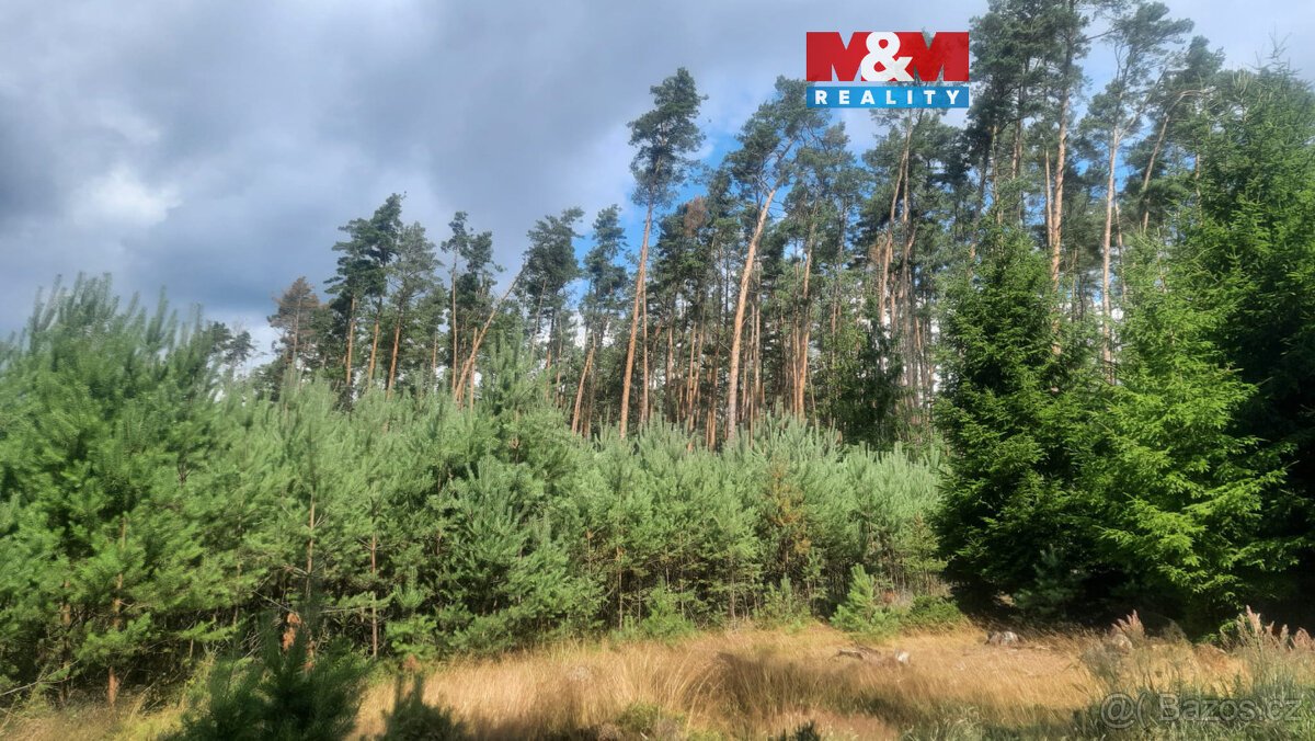 Prodej lesa, 108447 m², Březovice