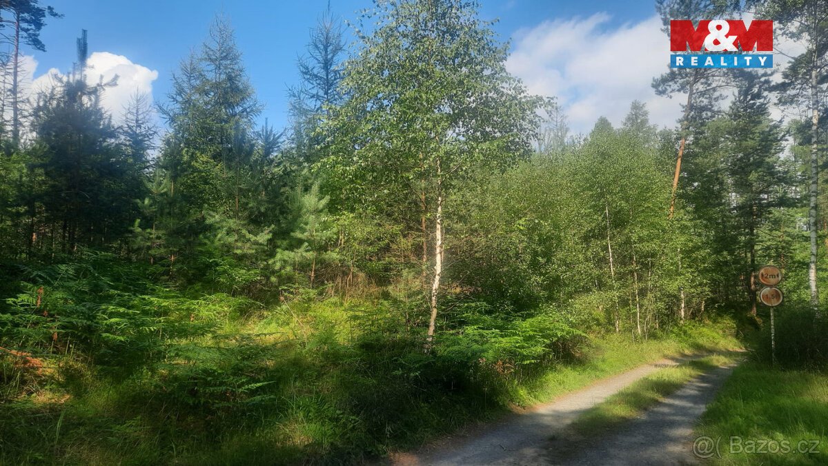 Prodej lesa, 108447 m², Březovice