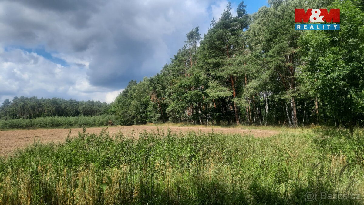 Prodej lesa, 108447 m², Březovice