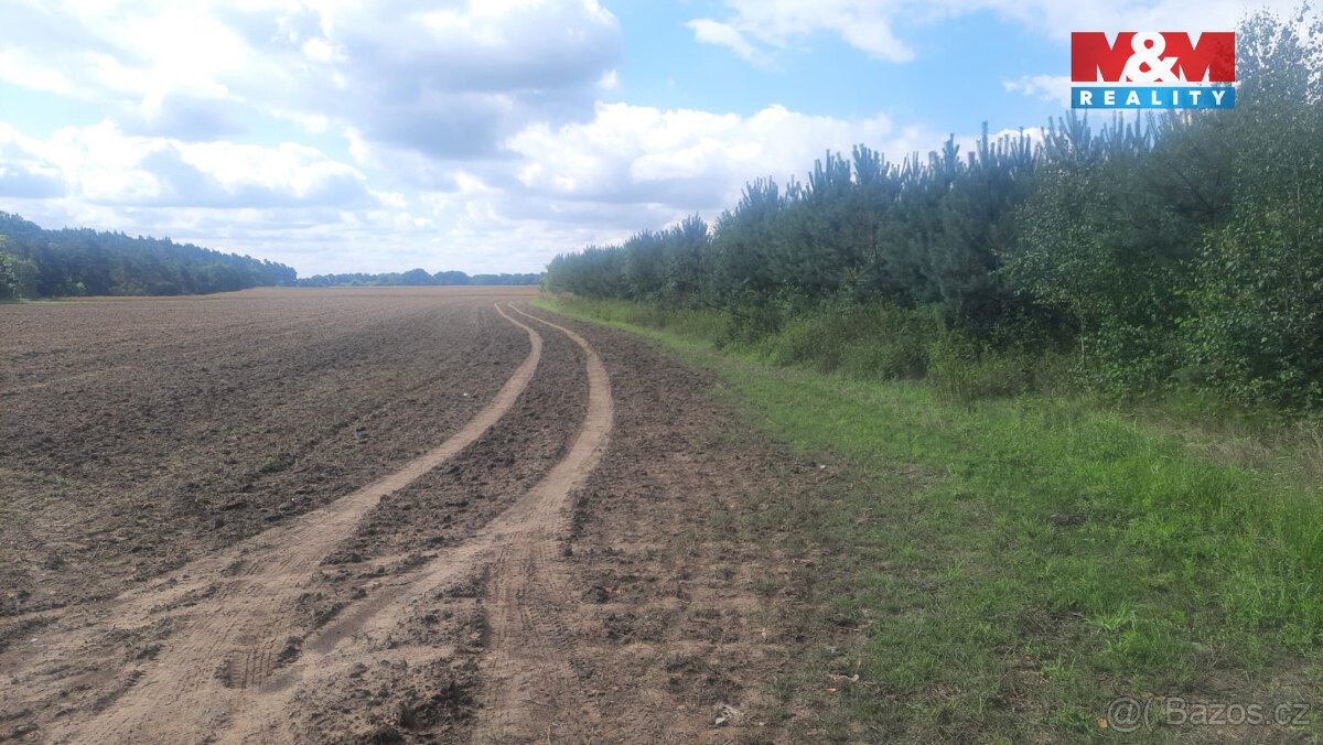 Prodej lesa, 108447 m², Březovice