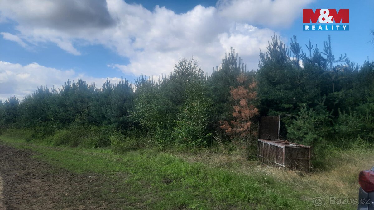 Prodej lesa, 108447 m², Březovice