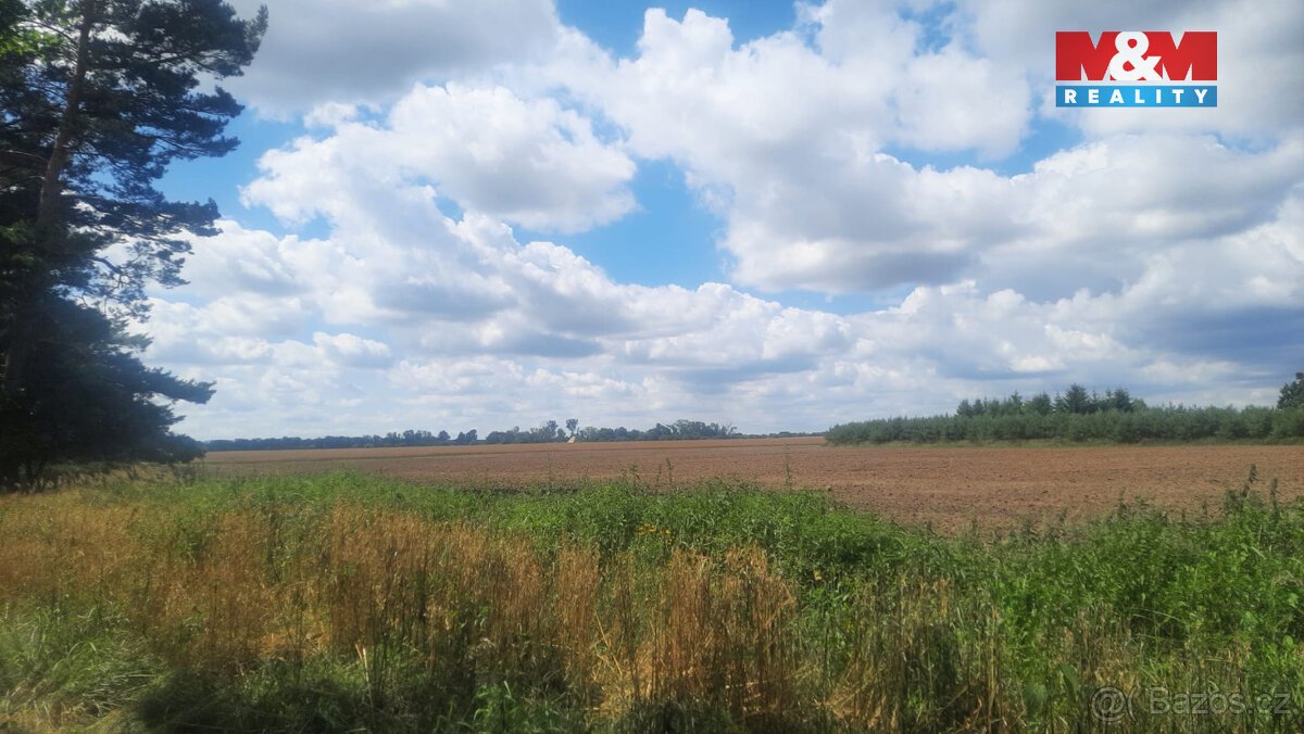 Prodej lesa, 108447 m², Březovice