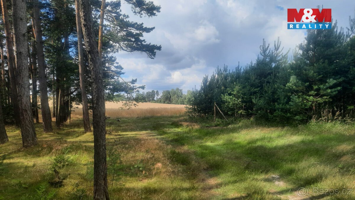 Prodej lesa, 108447 m², Březovice