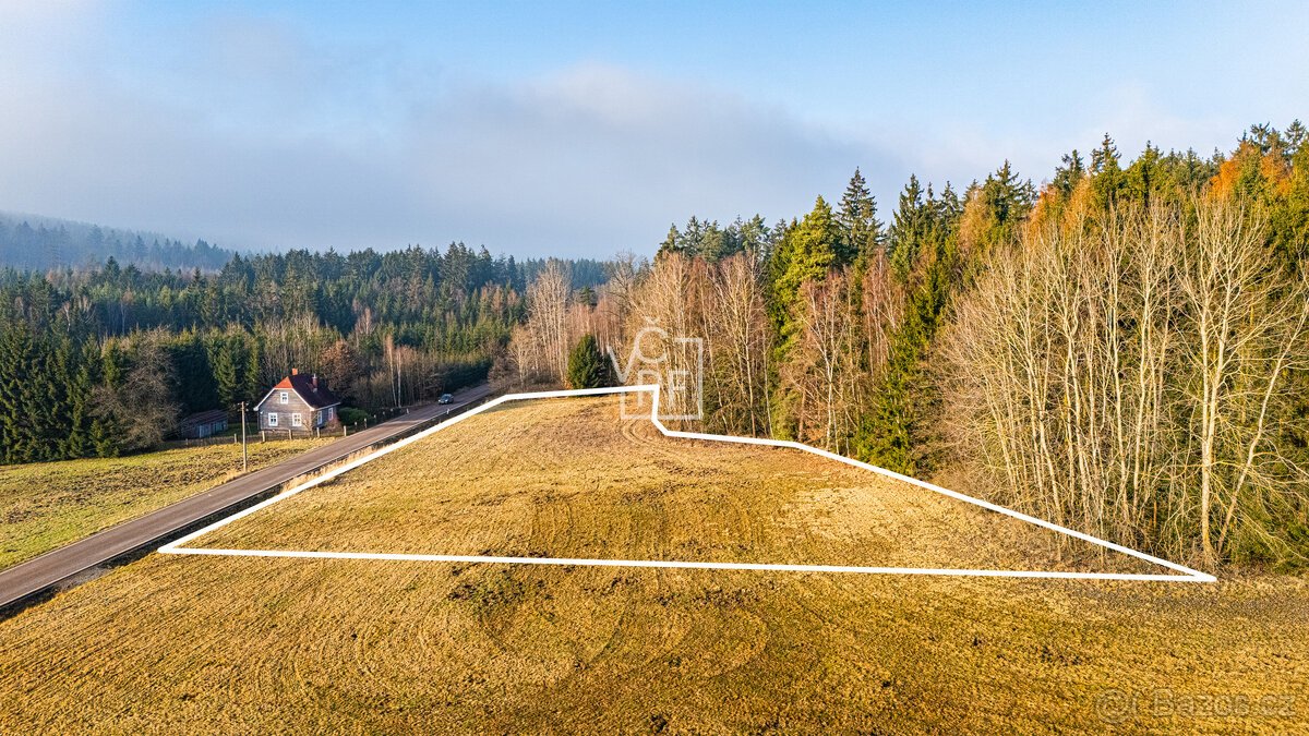 Prodej pozemku pro výstavbu 2 RD nebo rodinného ranče - Doub