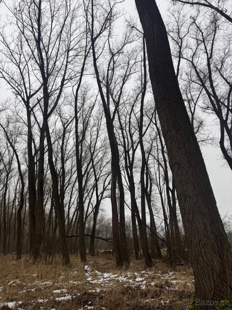 Prodej pozemků k.ú. Přerov nad Labem