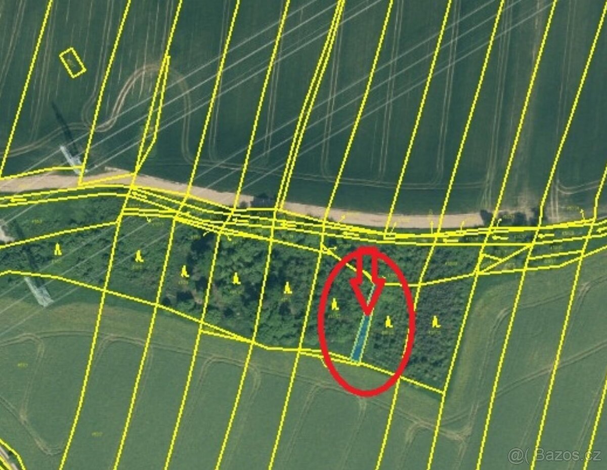 Prodej lesních pozemků v k.ú. Kočín