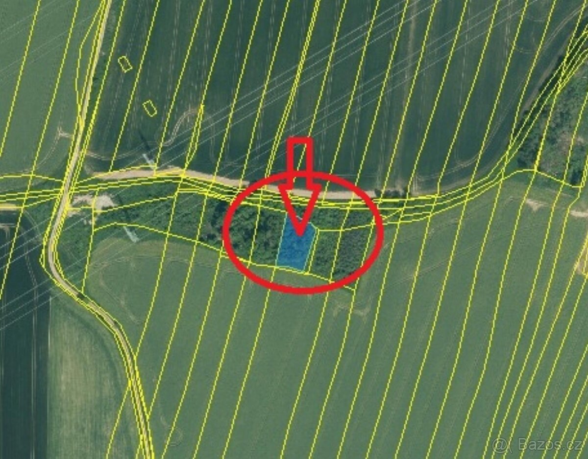 Prodej lesních pozemků v k.ú. Kočín