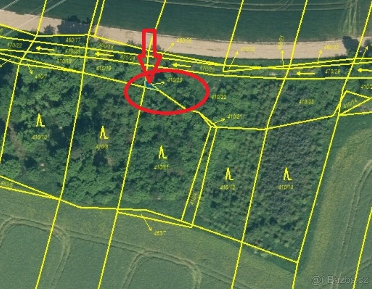 Prodej lesních pozemků v k.ú. Kočín