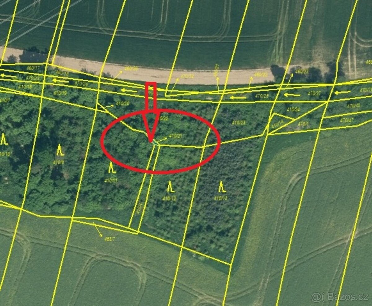 Prodej lesních pozemků v k.ú. Kočín