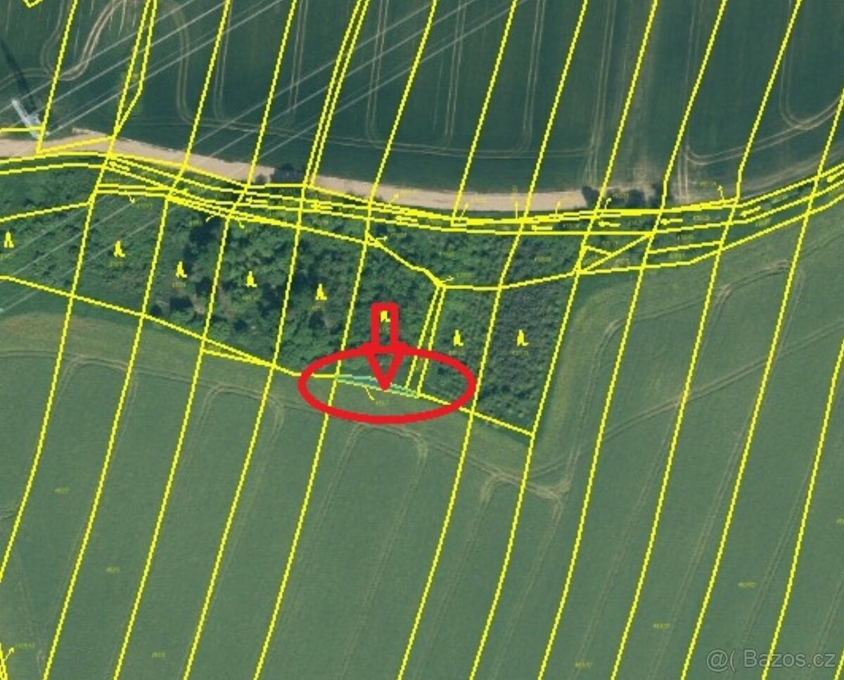 Prodej lesních pozemků v k.ú. Kočín