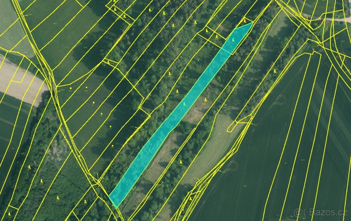 Prodej lesních pozemků v k.ú. Kočín