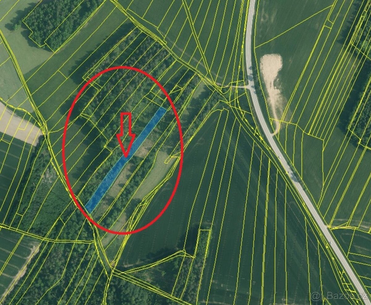 Prodej lesních pozemků v k.ú. Kočín