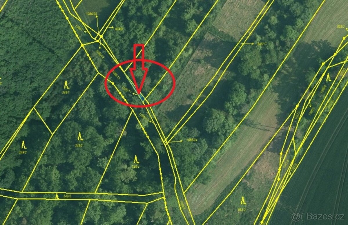 Prodej lesních pozemků v k.ú. Kočín