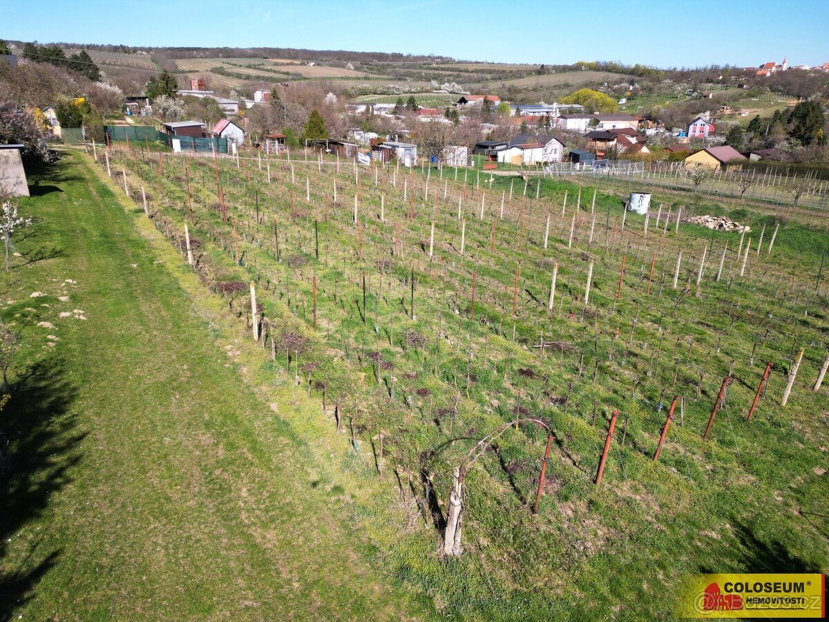 Nový Šaldorf - Sedlešovice, soubor pozemků, vhodný jako stav