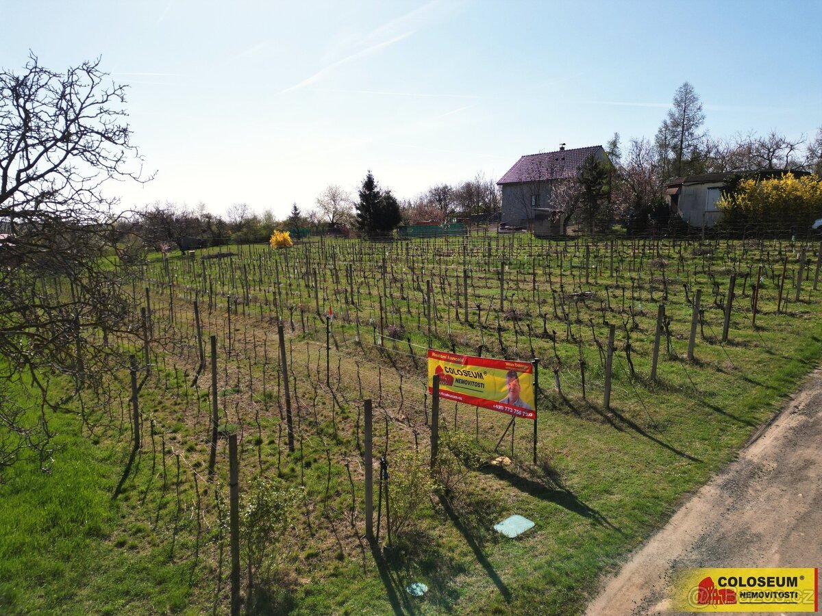 Nový Šaldorf - Sedlešovice, soubor pozemků, vhodný jako stav