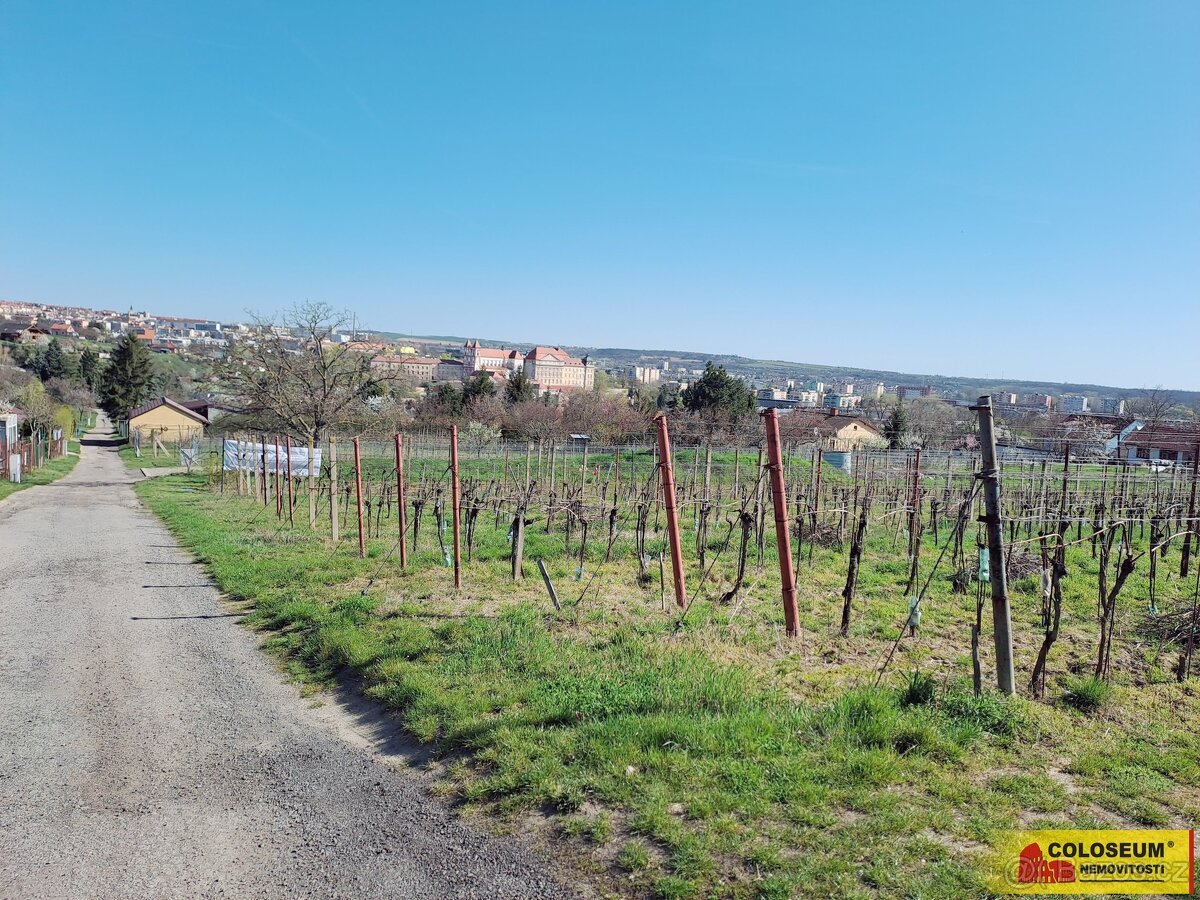 Nový Šaldorf - Sedlešovice, soubor pozemků, vhodný jako stav