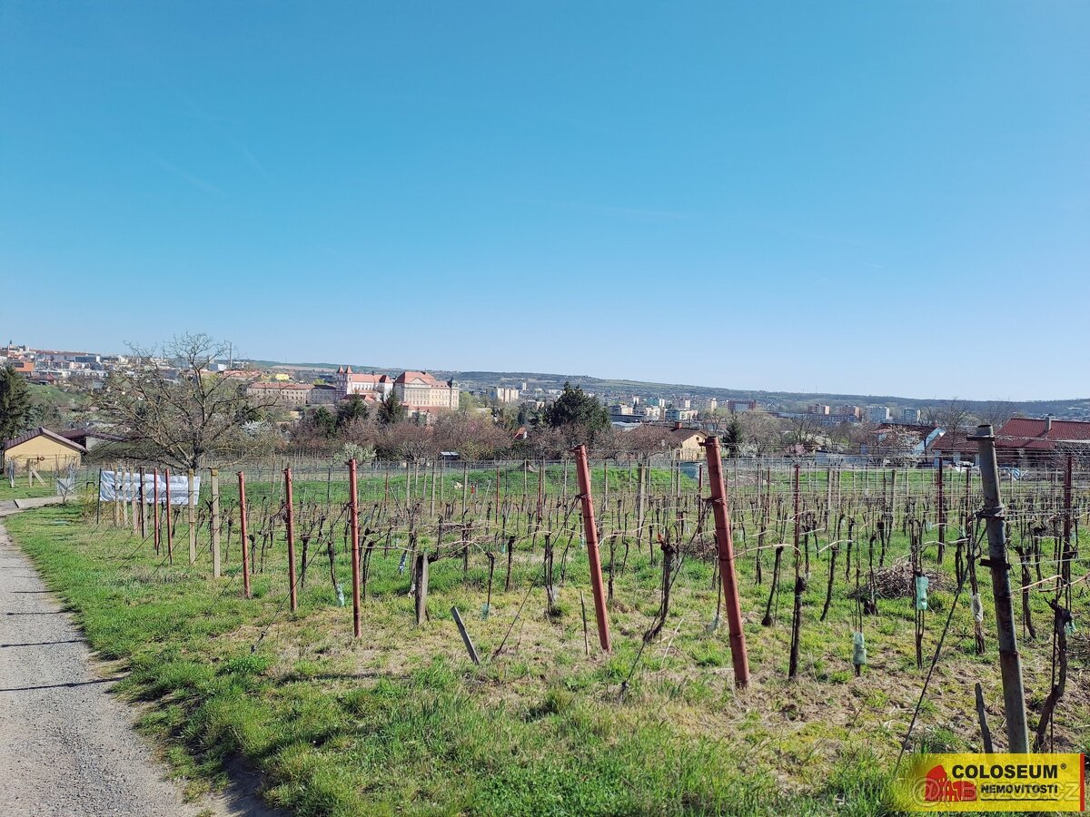 Nový Šaldorf - Sedlešovice, soubor pozemků, vhodný jako stav