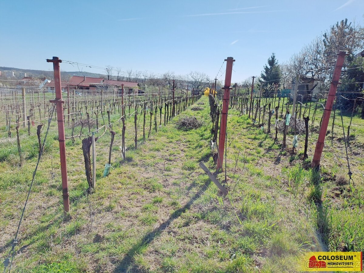 Nový Šaldorf - Sedlešovice, soubor pozemků, vhodný jako stav