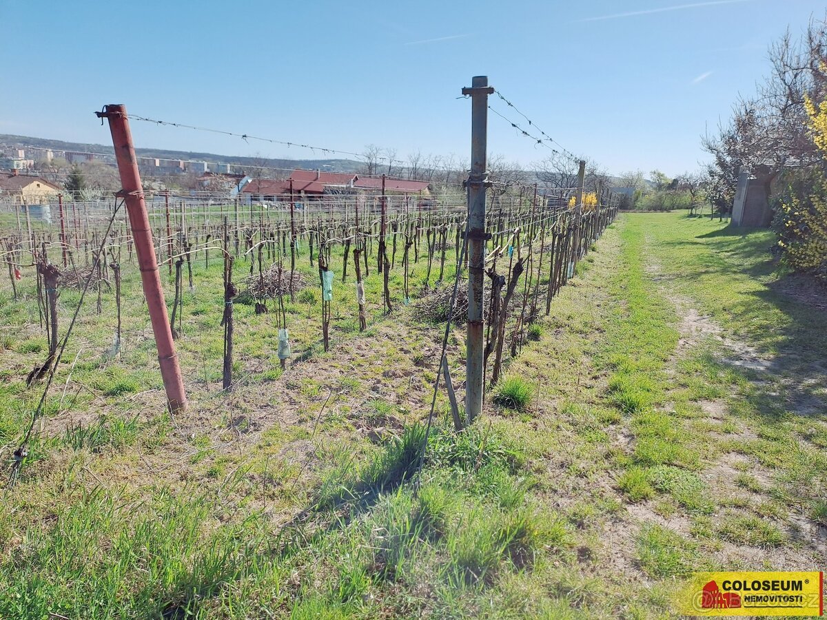 Nový Šaldorf - Sedlešovice, soubor pozemků, vhodný jako stav