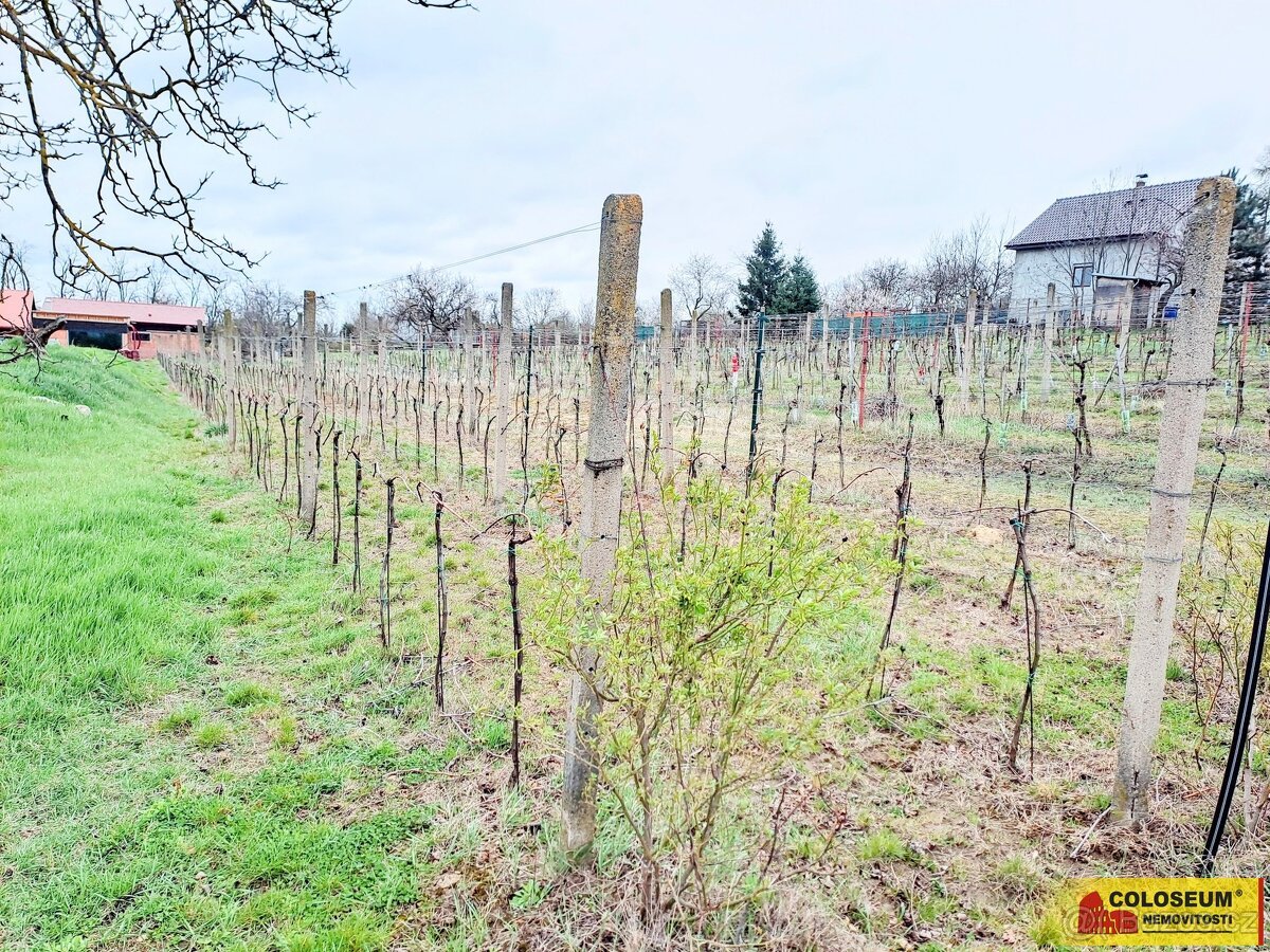 Nový Šaldorf - Sedlešovice, soubor pozemků, vhodný jako stav