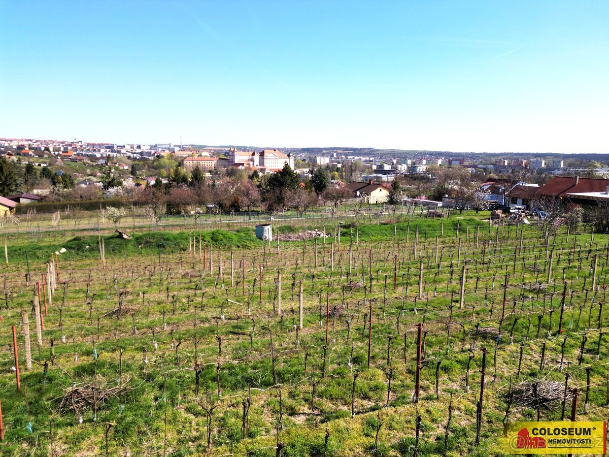 Nový Šaldorf - Sedlešovice, soubor pozemků, vhodný jako stav