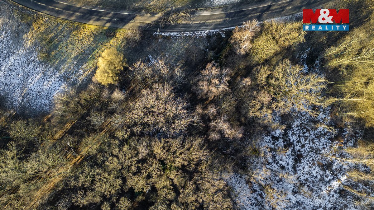 Prodej pozemku, 3376 m², Višňová